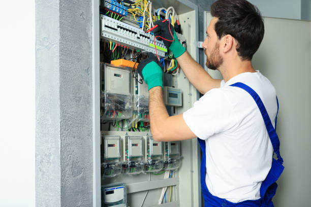 Best Ceiling Fan Installation Electrician  in Blasdell, NY